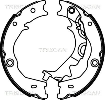 TRISCAN Комплект тормозных колодок, стояночная тормозная с 8100 18014