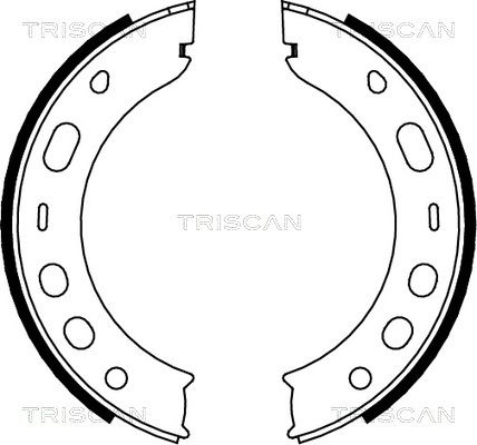 TRISCAN Комплект тормозных колодок, стояночная тормозная с 8100 20001