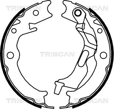 TRISCAN Piduriklotside komplekt,seisupidur 8100 21001