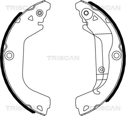 TRISCAN Комплект тормозных колодок 8100 21002