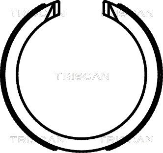 TRISCAN Комплект тормозных колодок, стояночная тормозная с 8100 21003