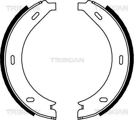 TRISCAN Комплект тормозных колодок, стояночная тормозная с 8100 23023