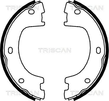 TRISCAN Piduriklotside komplekt,seisupidur 8100 23032
