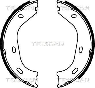 TRISCAN Комплект тормозных колодок, стояночная тормозная с 8100 23217