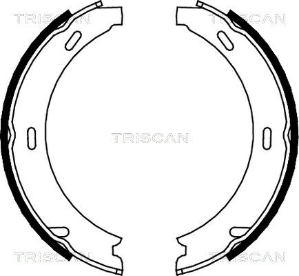 TRISCAN Комплект тормозных колодок 8100 23412
