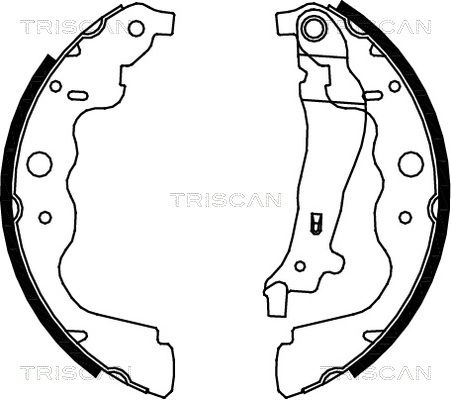 TRISCAN Комплект тормозных колодок 8100 25004