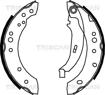 TRISCAN Комплект тормозных колодок 8100 25005