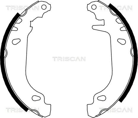 TRISCAN Комплект тормозных колодок 8100 25476