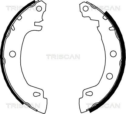 TRISCAN Комплект тормозных колодок 8100 25581