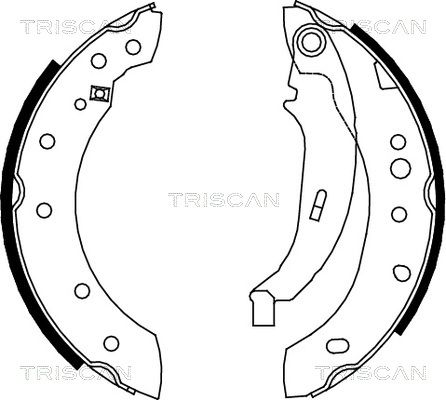 TRISCAN Комплект тормозных колодок 8100 28052