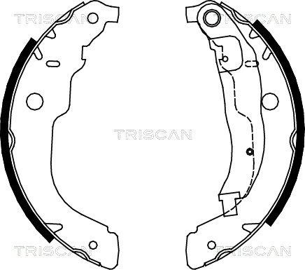 TRISCAN Комплект тормозных колодок 8100 28053