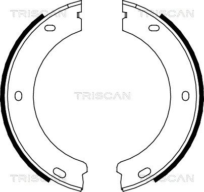 TRISCAN Комплект тормозных колодок, стояночная тормозная с 8100 28522