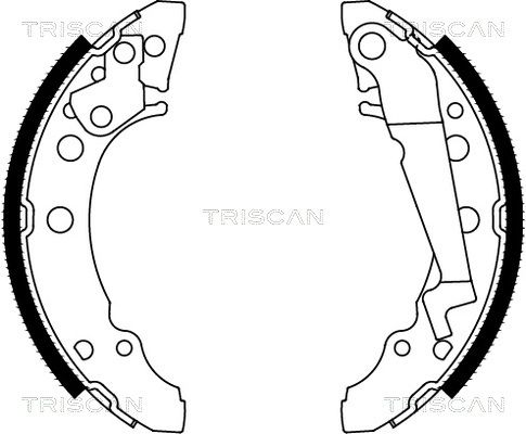 TRISCAN Комплект тормозных колодок 8100 29001