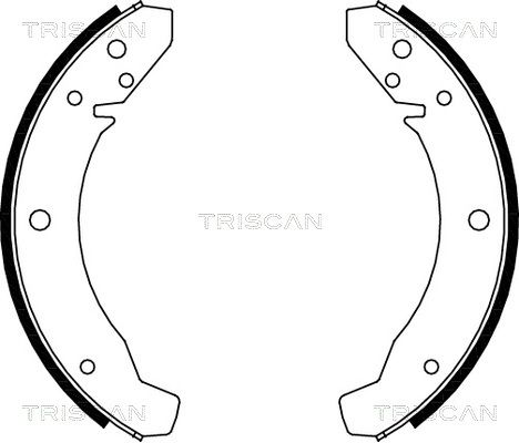 TRISCAN Комплект тормозных колодок 8100 29104
