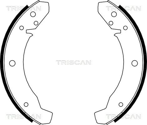 TRISCAN Комплект тормозных колодок 8100 29105