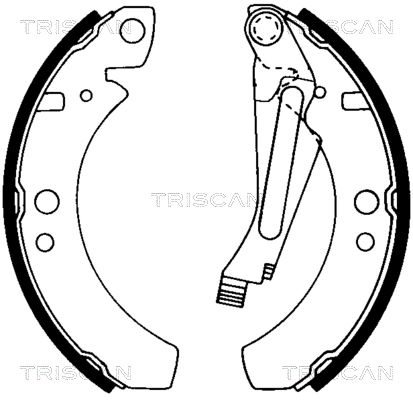 TRISCAN Комплект тормозных колодок 8100 29266