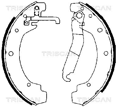 TRISCAN Комплект тормозных колодок 8100 29368