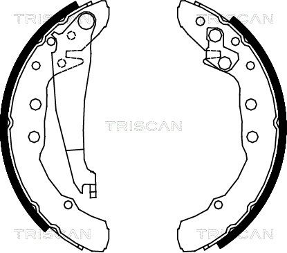 TRISCAN Комплект тормозных колодок 8100 29530