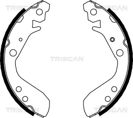 TRISCAN Комплект тормозных колодок 8100 40006