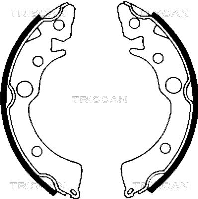 TRISCAN Комплект тормозных колодок 8100 40418