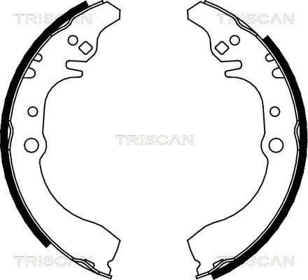 TRISCAN Комплект тормозных колодок 8100 41617