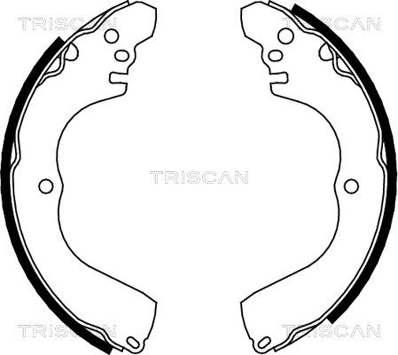 TRISCAN Комплект тормозных колодок, стояночная тормозная с 8100 42017