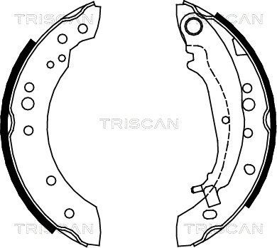 TRISCAN Комплект тормозных колодок 8100 42020