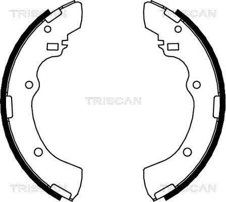 TRISCAN Комплект тормозных колодок 8100 42505