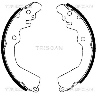 TRISCAN Piduriklotside komplekt 8100 42568