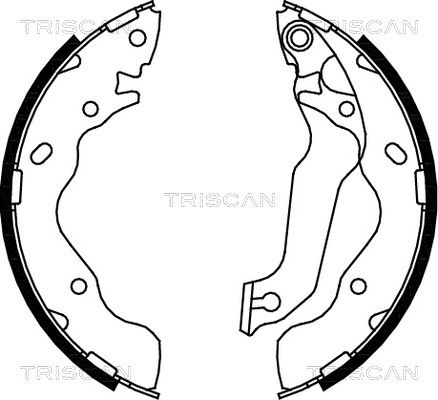 TRISCAN Комплект тормозных колодок, стояночная тормозная с 8100 43015