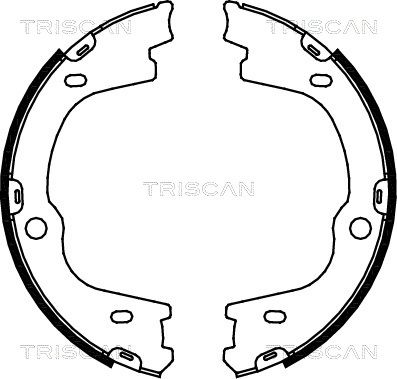 TRISCAN Комплект тормозных колодок, стояночная тормозная с 8100 43026