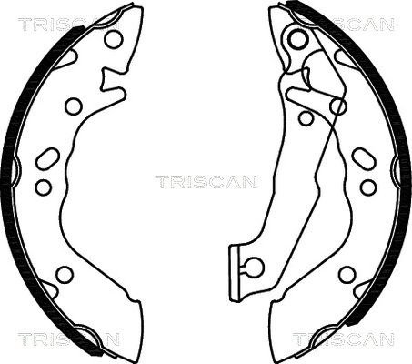 TRISCAN Комплект тормозных колодок 8100 43560