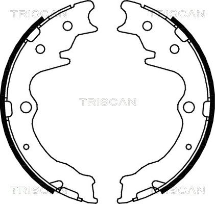 TRISCAN Комплект тормозных колодок, стояночная тормозная с 8100 50003