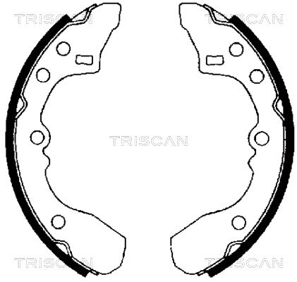 TRISCAN Комплект тормозных колодок 8100 50434