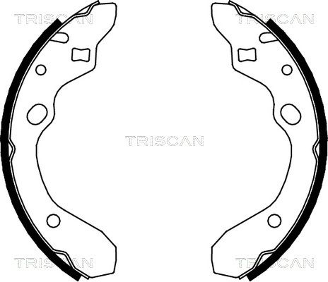 TRISCAN Комплект тормозных колодок 8100 50546