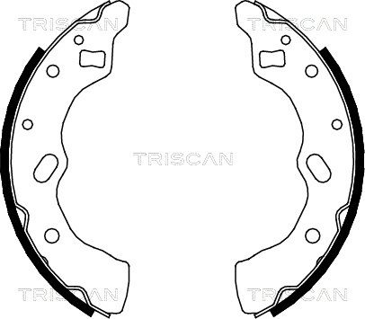 TRISCAN Комплект тормозных колодок 8100 50556