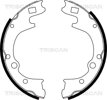 TRISCAN Piduriklotside komplekt 8100 50604