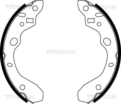 TRISCAN Комплект тормозных колодок 8100 50611