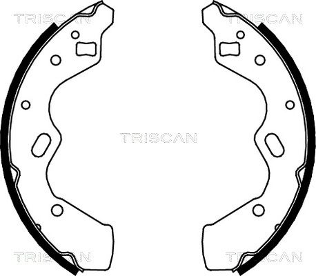 TRISCAN Комплект тормозных колодок 8100 50615