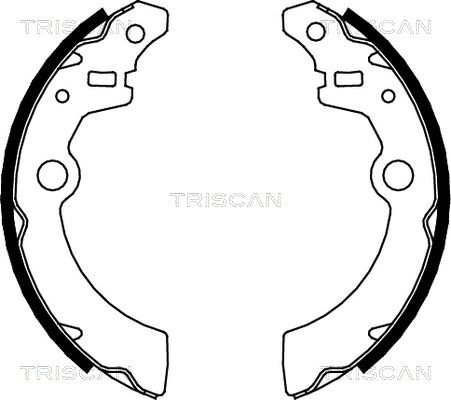 TRISCAN Комплект тормозных колодок 8100 69001
