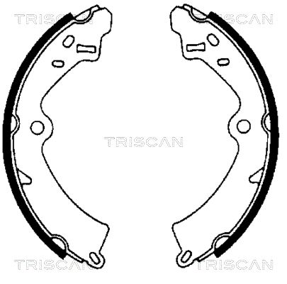 TRISCAN Комплект тормозных колодок 8100 69473