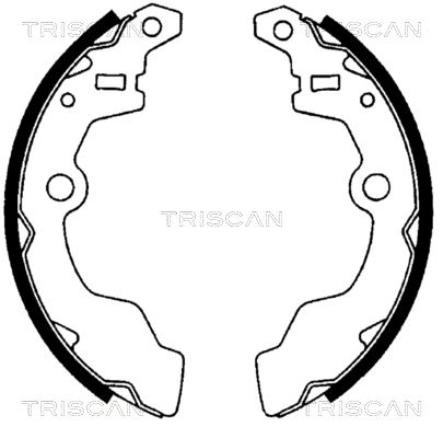TRISCAN Комплект тормозных колодок 8100 69567