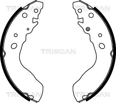 TRISCAN Piduriklotside komplekt 8100 69584