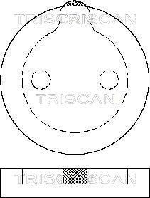 TRISCAN Комплект тормозных колодок, дисковый тормоз 8110 38786