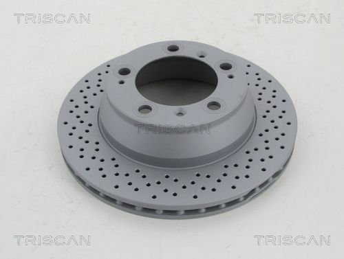 TRISCAN Тормозной диск 8120 101081C