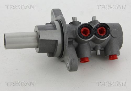 TRISCAN Peapiduri silinder 8130 10125