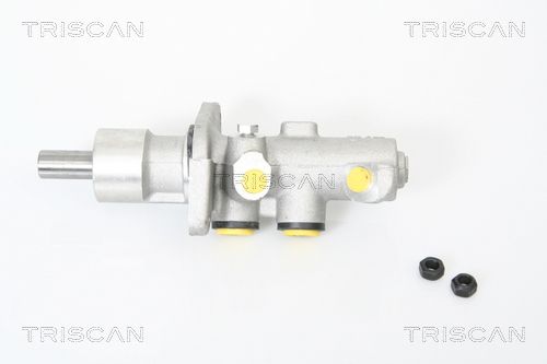 TRISCAN Peapiduri silinder 8130 11123