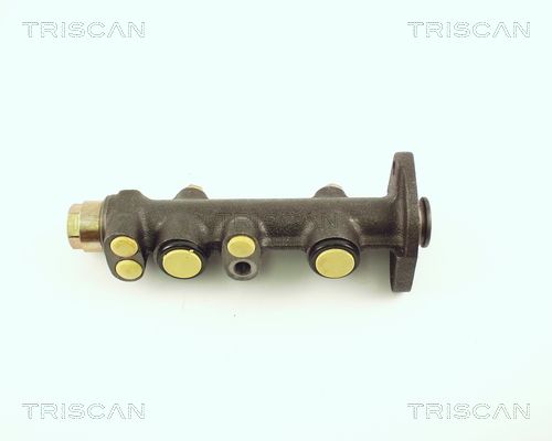 TRISCAN Peapiduri silinder 8130 15127