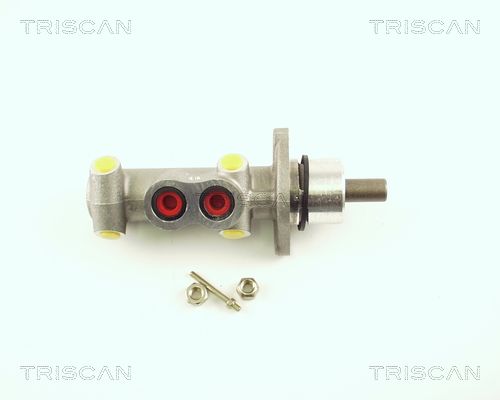 TRISCAN Peapiduri silinder 8130 15128