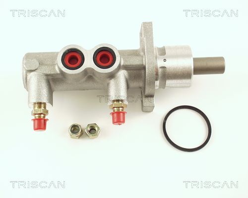 TRISCAN Peapiduri silinder 8130 16114